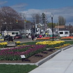 New Seawall, New Walkway, New Railings, New Flowerbeds on Gloucester Boulevard Offset by Rotting Railings on Island Side