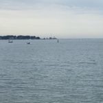 Whale Shows off in the Middle of Gloucester Harbor Thursday morning.