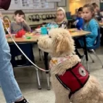 Pentucket Spotlight on Excellence: Alumni Introduces Page School Students to Service Dog