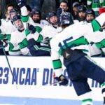 New England Hockey Writers Honor Three from Endicott College’s Men’s Hockey D3 NCAA Final Four Season