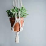 Marblehead’Abbot Public Library – Make a Macramé Plant Holder Wednesday May 10th