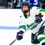 Endicott College Men’s Hockey Falls to Amherst (4-2) on Sunday