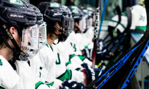 Endicott Men’s Hockey (#14) Opens NCAA Play at Elmira Saturday Night – Game Preview / Notes / Links