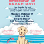 Manchesterbythesea – Daisy’s Beach Day Fundraiser October 14