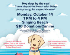 Manchesterbythesea – Daisy’s Beach Day Fundraiser October 14