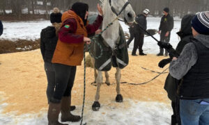 (Photos) Ipswich First Responders and Northeast Technical Rescue Team Partner to Rescue Horse